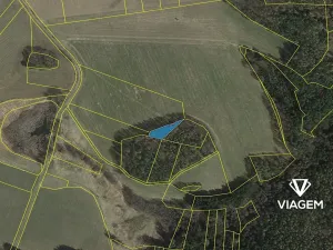 Prodej lesa, Veliš, 941 m2