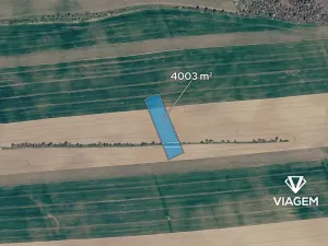 Prodej podílu pole, Boršice, 400 m2