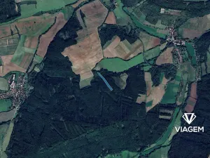 Prodej podílu lesa, Pnětluky, 5210 m2