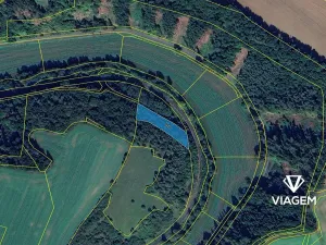 Prodej lesa, Radkov, 2860 m2