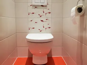 Pronájem bytu 2+1, Zlín - Malenovice, Tyršova, 57 m2