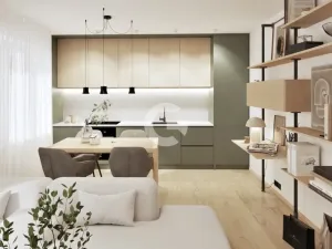 Prodej bytu 2+kk, Fryšták, Dr. Absolona, 49 m2