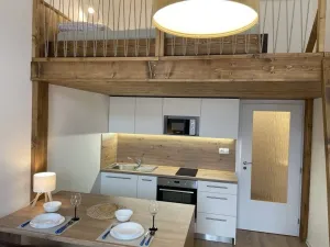 Pronájem bytu 1+kk, Ostrava - Přívoz, Palackého, 27 m2