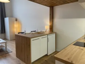 Pronájem bytu 1+kk, Ostrava - Přívoz, Palackého, 27 m2
