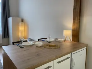 Pronájem bytu 1+kk, Ostrava - Přívoz, Palackého, 27 m2