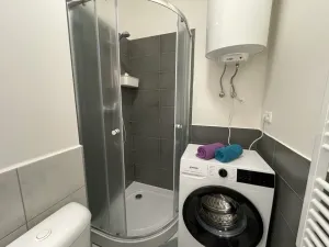 Pronájem bytu 1+kk, Ostrava - Přívoz, Palackého, 27 m2