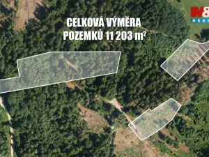 Prodej lesa, Železný Brod, 11203 m2