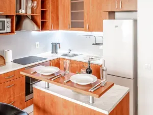 Prodej bytu 2+kk, Olomouc - Nové Sady, Fischerova, 45 m2