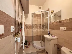 Pronájem bytu 1+kk, Prostějov, Lidická, 23 m2