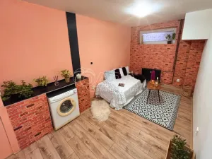 Pronájem bytu 1+kk, Prostějov, Lidická, 23 m2