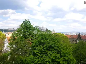 Prodej bytu 2+1, Brno - Štýřice, Vídeňská, 55 m2