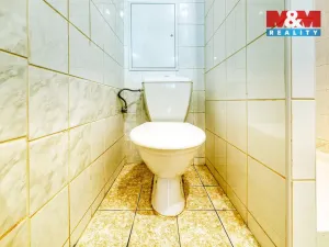 Prodej obchodního prostoru, Písek - Pražské Předměstí, Čechova, 53 m2