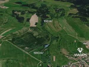 Prodej lesa, Nové Město na Moravě, 1693 m2