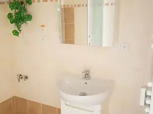 Pronájem bytu 2+1, Přerov, Komenského, 72 m2
