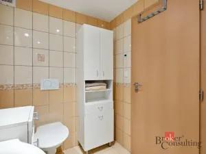 Prodej bytu 2+kk, Jihlava, Březinovy sady, 48 m2