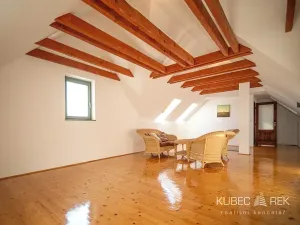 Prodej chalupy, Suchdol nad Lužnicí, Žižkova, 300 m2