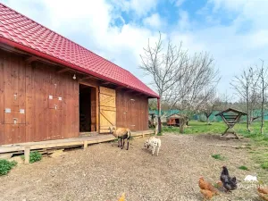 Prodej rodinného domu, Volduchy, okres rokycany, 160 m2