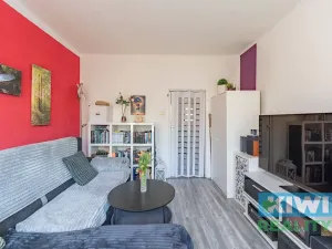 Prodej bytu 2+1, Ostrava, Rabasova, 55 m2
