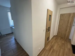 Pronájem bytu 2+1, Most, Jaroslava Vrchlického, 54 m2