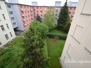 Pronájem bytu 2+1, Brno, Úvoz, 75 m2