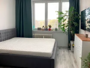 Pronájem bytu 1+1, Ostrava, Opavská, 34 m2