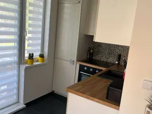 Pronájem bytu 2+kk, Třinec, Seifertova, 50 m2