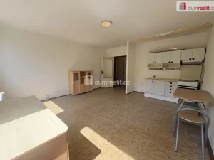 Pronájem bytu 1+kk, Ústí nad Labem - Všebořice, Spartakiádní, 32 m2