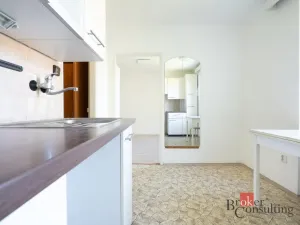 Prodej bytu 1+1, Kladno - Kročehlavy, U výtopny, 28 m2