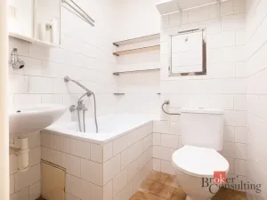 Prodej bytu 1+1, Kladno - Kročehlavy, U výtopny, 28 m2