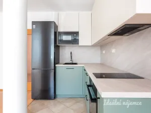 Pronájem bytu 1+kk, Praha, Trmická, 36 m2