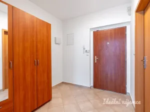 Pronájem bytu 1+kk, Praha - Prosek, Trmická, 36 m2