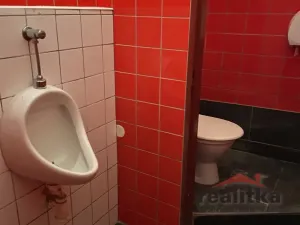 Pronájem obchodního prostoru, Opava - Město, Dolní náměstí, 180 m2