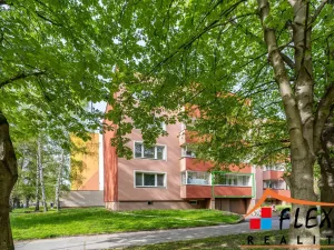 Pronájem bytu 2+kk, Ostrava - Hrabůvka, Krestova, 54 m2