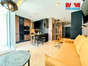 Prodej bytu 2+kk, Ostrava - Moravská Ostrava, F. X. Riepla, 65 m2