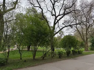 Pronájem bytu 2+kk, Praha - Karlín, Kaizlovy sady, 37 m2