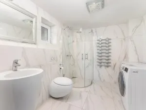 Prodej rodinného domu, Všemina, 258 m2
