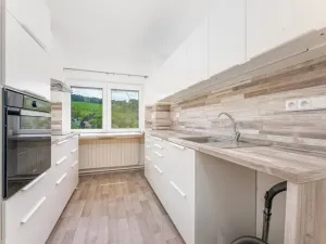 Prodej rodinného domu, Všemina, 258 m2