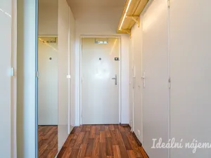 Pronájem bytu 1+kk, Brno, Halasovo náměstí, 20 m2