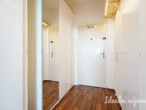 Pronájem bytu 1+kk, Brno, Halasovo náměstí, 20 m2
