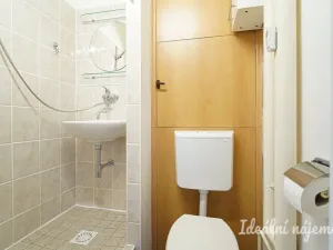 Pronájem bytu 1+kk, Brno, Halasovo náměstí, 20 m2