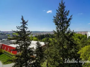 Pronájem bytu 1+kk, Brno, Halasovo náměstí, 20 m2