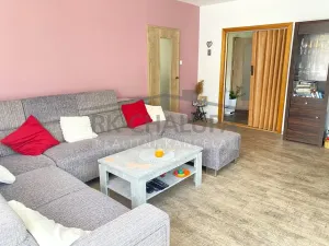 Prodej rodinného domu, Staré Hodějovice, Novohradská, 300 m2