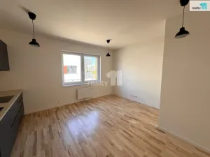 Pronájem bytu 1+kk, Dobřichovice, Pražská, 34 m2