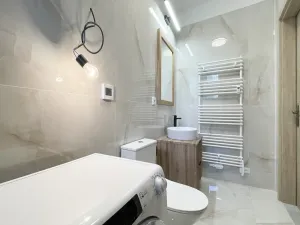 Pronájem bytu 1+kk, Olomouc - Hodolany, Elišky Krásnohorské, 34 m2