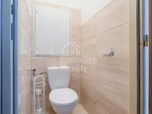 Prodej bytu 2+1, Hradec Králové - Moravské Předměstí, Štefánikova, 61 m2