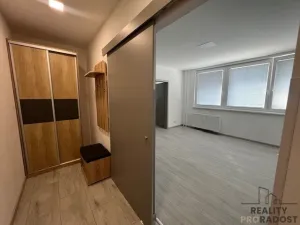Pronájem bytu 2+1, Hodonín, Lužní, 44 m2