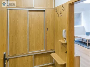 Pronájem bytu 2+kk, Plzeň - Východní Předměstí, Sladkovského, 55 m2