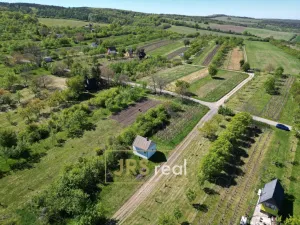 Prodej pozemku, Hroznová Lhota, 2997 m2