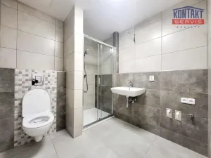 Pronájem bytu 2+kk, České Budějovice - České Budějovice 2, 55 m2