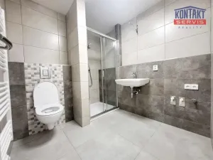 Pronájem bytu 2+kk, České Budějovice - České Budějovice 2, 55 m2